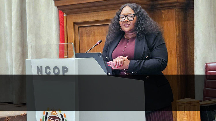 Mpumalanga G20 Provincial Indaba